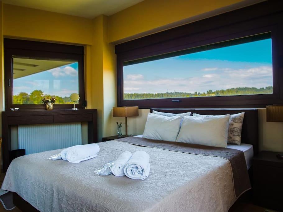 Luxury Villa Kassandrino Kassandrinón Exteriér fotografie