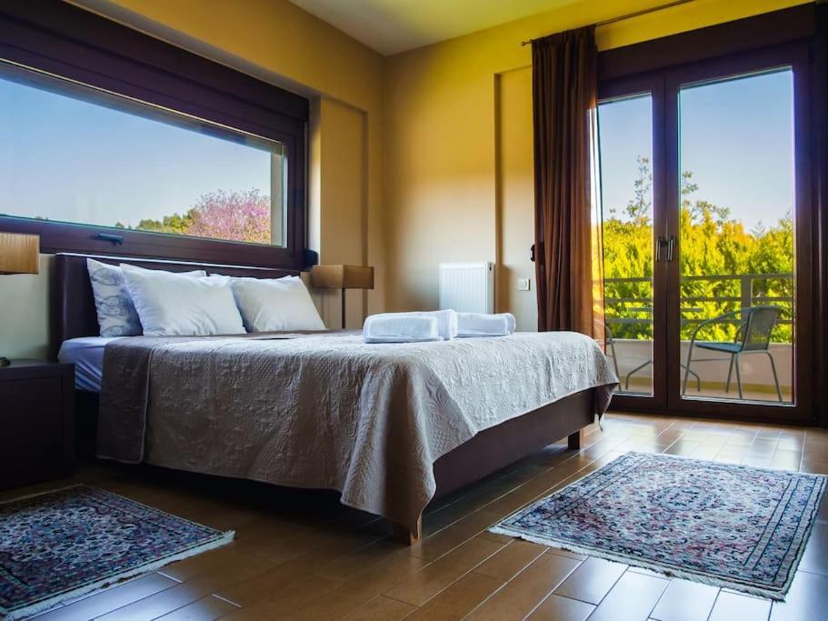 Luxury Villa Kassandrino Kassandrinón Exteriér fotografie